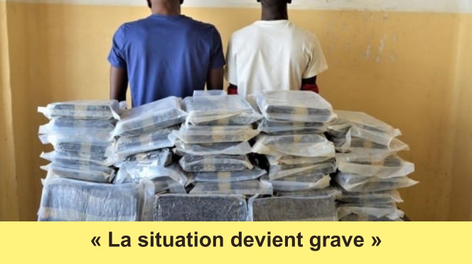 Trafic De Drogue Au S N Gal Un Fl Au Incontr Lable Notre Continent