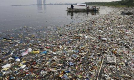 Déchets déversés La pollution du fleuve Niger largement visible à Niamey
