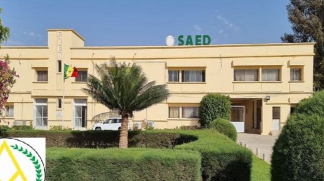 Vols et sabotages : Des plaintes sans réponse de la Saed - Notre Continent
