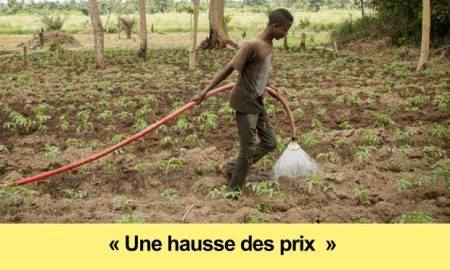 les-agriculteurs-prennent-les-devants-changement-climatique-en-afrique