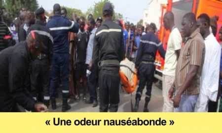 Le corps sans vie d'un homme retrouvé Kaolack sous le choc