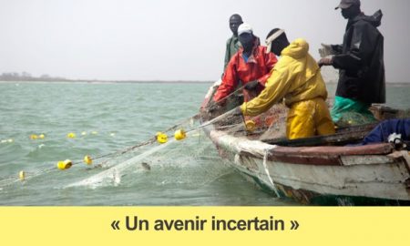 Accord Sénégal-Mauritanie Des décisions à court terme qui menacent nos mers