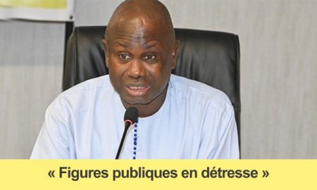 Seydi Gassama Un défenseur des droits humains qui fuit la critique